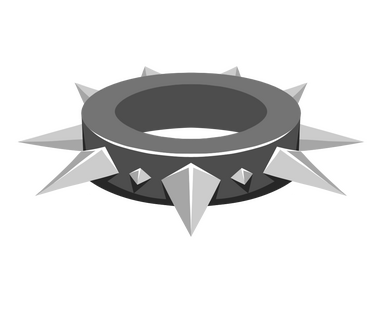 Rare Spiked Collar